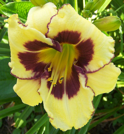 Canandaigua Wine Trail