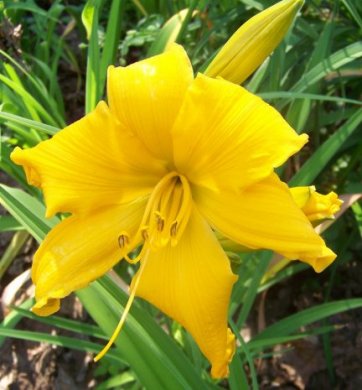 Chel's You're Something Else