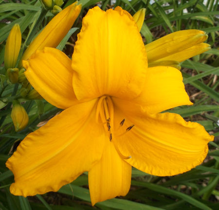 Esperanza Gold Piece