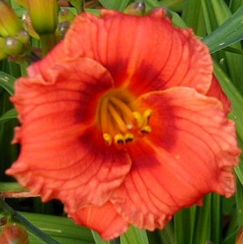 Matt's Mystical Magic